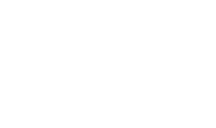 Waldner Partner